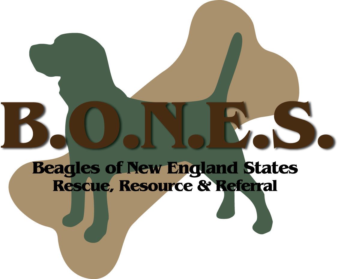 Beagles of New England States (B.O.N.E.S.)